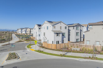 Beacon at Bridgeway in Newark, CA - Building Photo - Building Photo