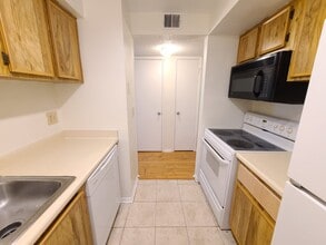 4034 Dream Oak Pl in Tampa, FL - Building Photo - Building Photo