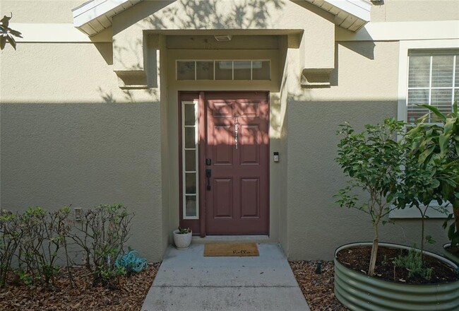 6741 Breezy Palm Dr in Riverview, FL - Foto de edificio - Building Photo