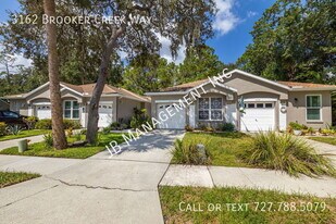 3162 Brooker Creek Way in Palm Harbor, FL - Building Photo