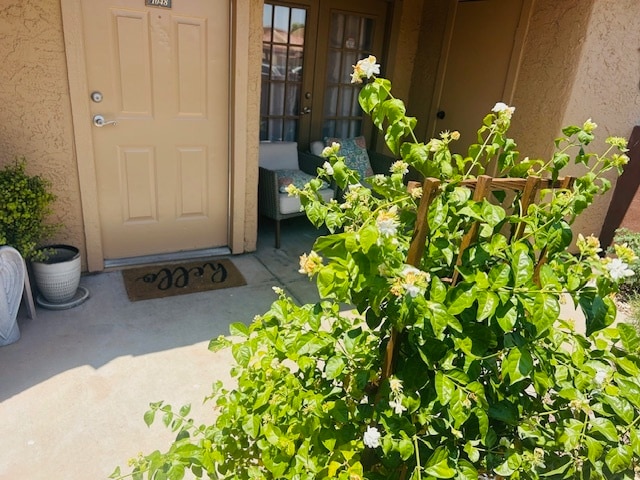 3511 E Baseline Rd, Unit Shadow Mountain Villas in Phoenix, AZ - Building Photo - Building Photo