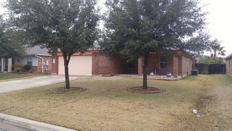 413 Peaceful Haven Way in Hutto, TX - Building Photo