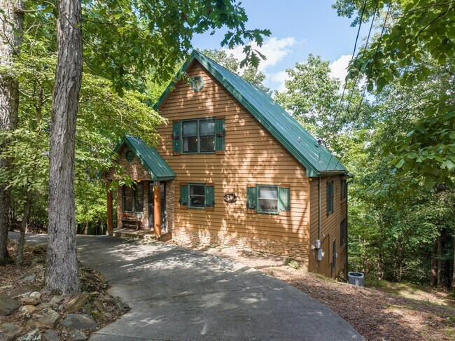 363 Palisade Dr in Ellijay, GA - Building Photo - Building Photo