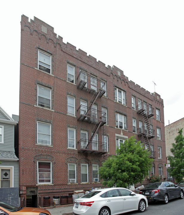 336 E 31st St in Brooklyn, NY - Building Photo