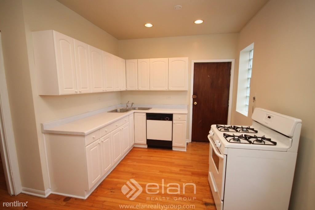 42295 N Paulina St-Unit -Apt 3N in Chicago, IL - Building Photo
