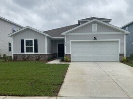 102 Wildflower Ln in Savannah, GA - Building Photo