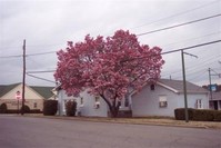 606 Janssen in Mena, AR - Foto de edificio - Building Photo