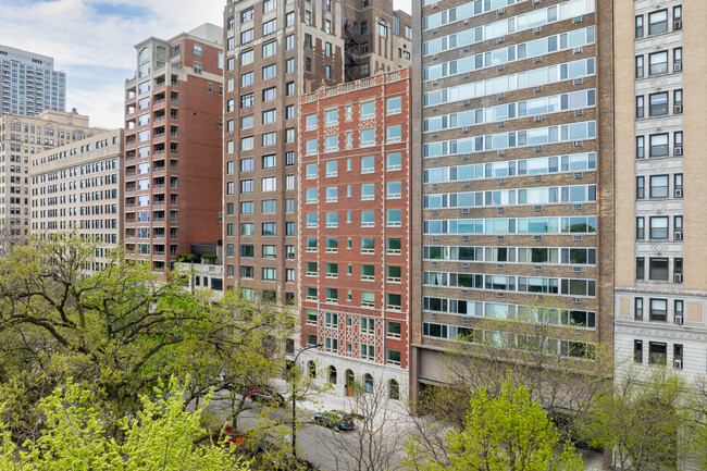 The Nest at Lincoln Park West