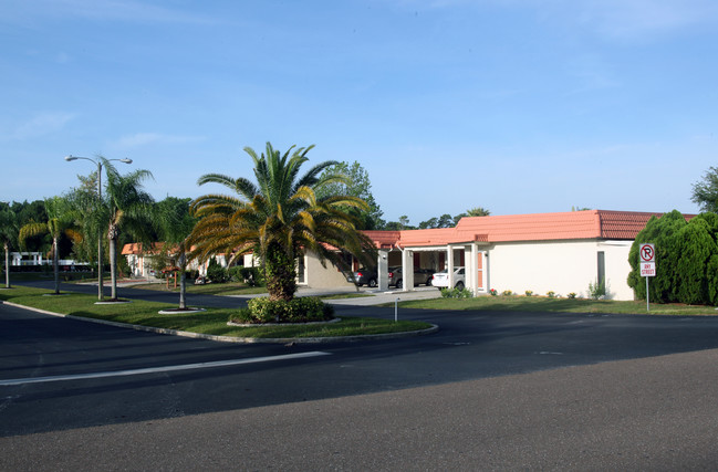 Riverside Villas in New Port Richey, FL - Building Photo - Building Photo