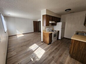 922 Boston Way in Coralville, IA - Building Photo - Building Photo