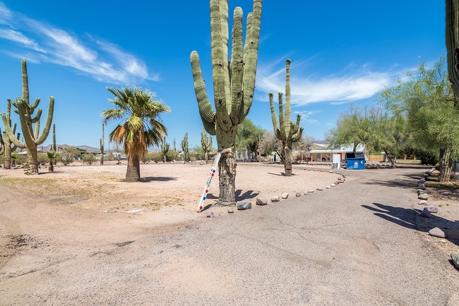 Apache Acres Addition in Apache Junction, AZ - Building Photo - Building Photo