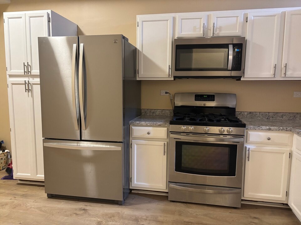 1741 W 18th Pl in Chicago, IL - Building Photo