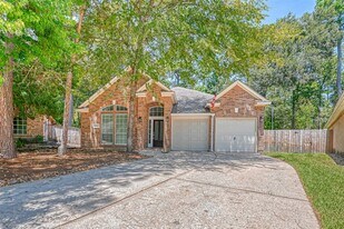 38 Tethered Vine Pl in Spring, TX - Building Photo