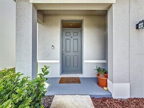 33568 Barberry Leaf Wy in Wesley Chapel, FL - Building Photo - Building Photo