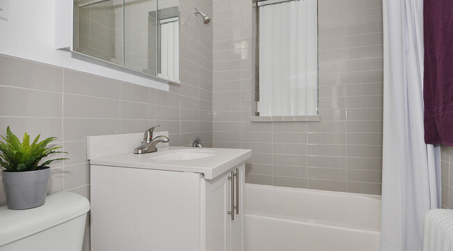 property at 153 St George St