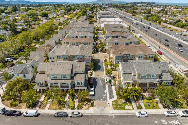 401 - 1206 S Hummingbird Ln in San Mateo, CA - Building Photo - Building Photo
