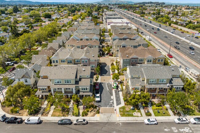 401 - 1206 S Hummingbird Ln in San Mateo, CA - Foto de edificio - Building Photo