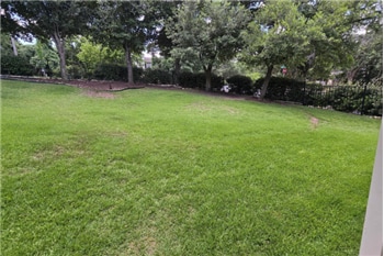 10703 Misting Falls Trail in Austin, TX - Building Photo - Building Photo