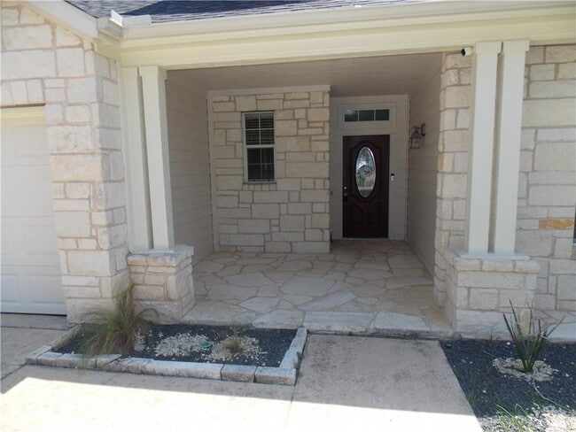 20961 Mandrake Dr in Pflugerville, TX - Building Photo - Building Photo