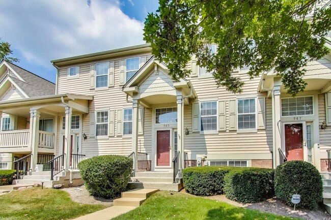 985 Manchester Cir in Grayslake, IL - Building Photo - Building Photo