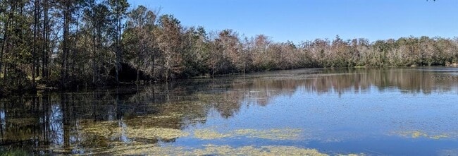 8372 Fort Clinch Ave in Orlando, FL - Building Photo - Building Photo