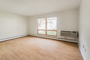 1575 Cherboneau Pl in Detroit, MI - Building Photo