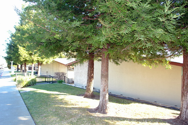 591 Rocky Hill Rd in Vacaville, CA - Building Photo - Building Photo