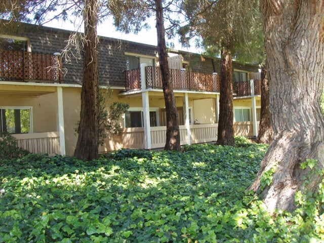 property at 1459 N Camino Alto