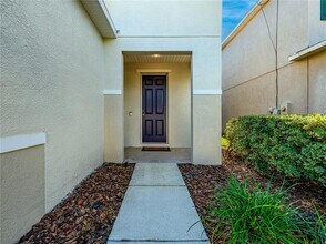 26918 Stillbrook Dr in Wesley Chapel, FL - Building Photo - Building Photo