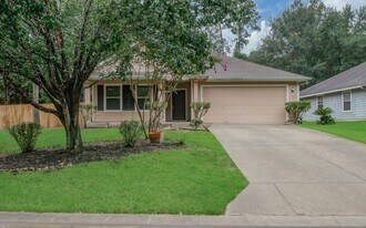 175 N Vesper Bend Cir in Spring, TX - Building Photo