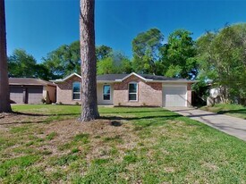 17002 Tibet Rd in Friendswood, TX - Building Photo