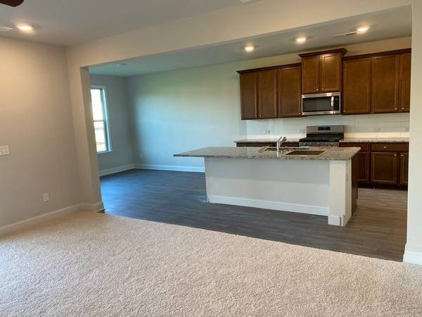 223 Cattail Ln in Winder, GA - Building Photo - Building Photo