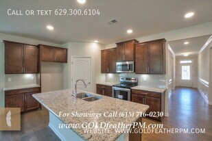 8019 Forest Hills Dr in Spring Hill, TN - Building Photo