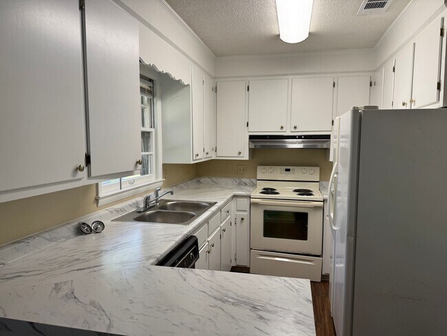 223 S Edgewood Dr in Statesboro, GA - Building Photo - Building Photo