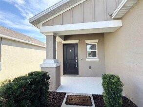 1929 Cricket Cradle Dr in Kissimmee, FL - Building Photo - Building Photo