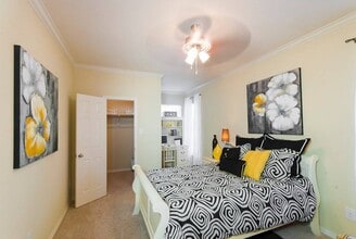 The Meadows at North Richland Hills Apartments in North Richland Hills, TX - Building Photo - Building Photo