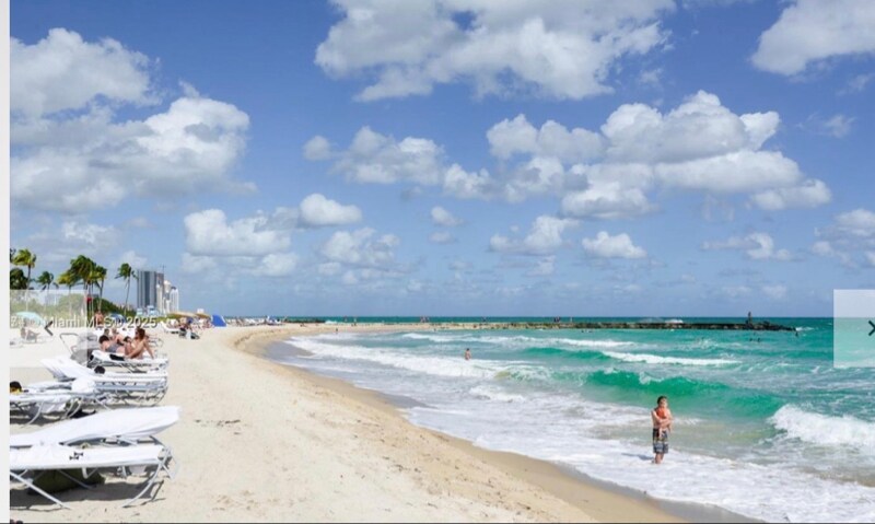 10275 Collins Ave in Bal Harbour, FL - Building Photo