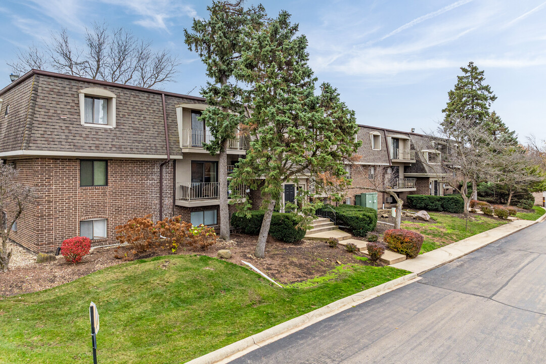 Olive Tree Condos in Naperville, IL - Building Photo