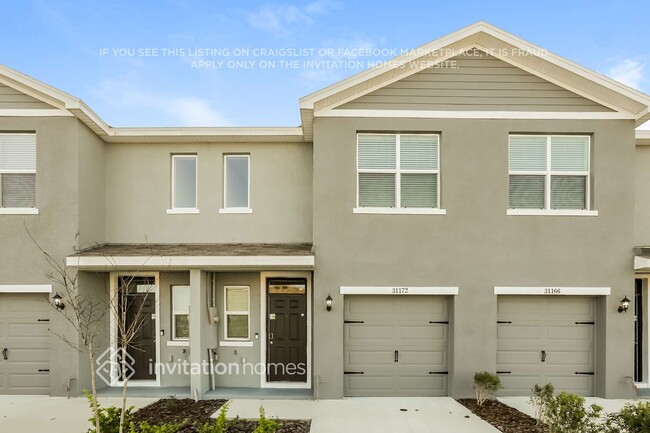 31172 Striped Maple Ln in Wesley Chapel, FL - Building Photo - Building Photo