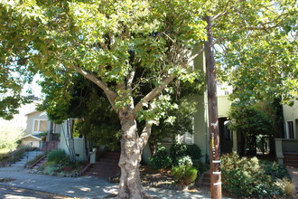 250-258A Mather St in Piedmont, CA - Building Photo - Building Photo