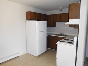 1213 Sycamore St-Unit -Unit 203 in Wyandotte, MI - Building Photo - Building Photo