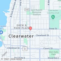 129 N Martin Luther King Jr Ave in Clearwater, FL - Building Photo