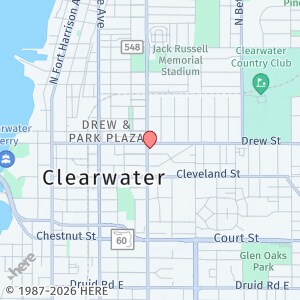 129 N Martin Luther King Jr Ave in Clearwater, FL - Building Photo