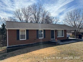 449 Missimer Ln in Vinton, VA - Building Photo