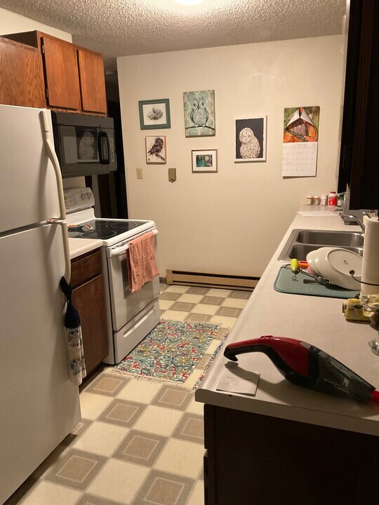 1007 SE 13th St in Brainerd, MN - Building Photo