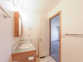 1106 Timberline Ct in Windsor, CO - Building Photo - Building Photo