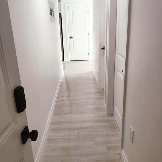 property at 833 Albert Rd