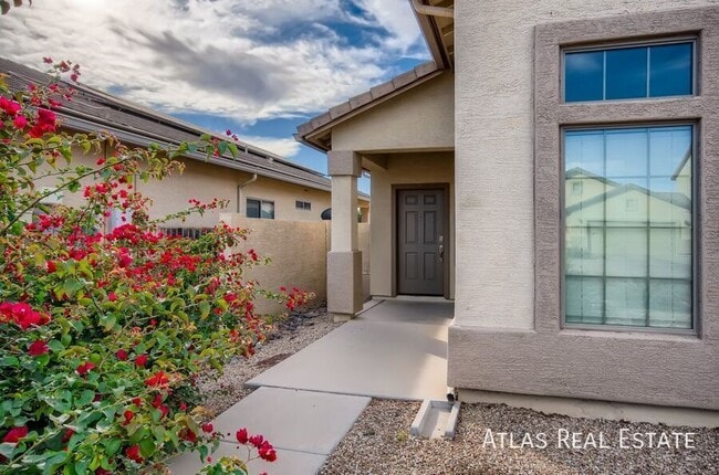 797 W Agrarian Hills Dr in San Tan Valley, AZ - Building Photo - Building Photo