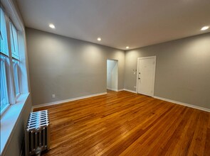 1503 W Schreiber Ave in Chicago, IL - Building Photo - Building Photo