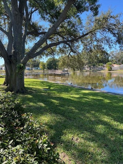 3823 N Oak Dr in Tampa, FL - Building Photo